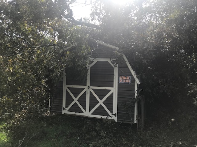 Storm-Damage (1)
